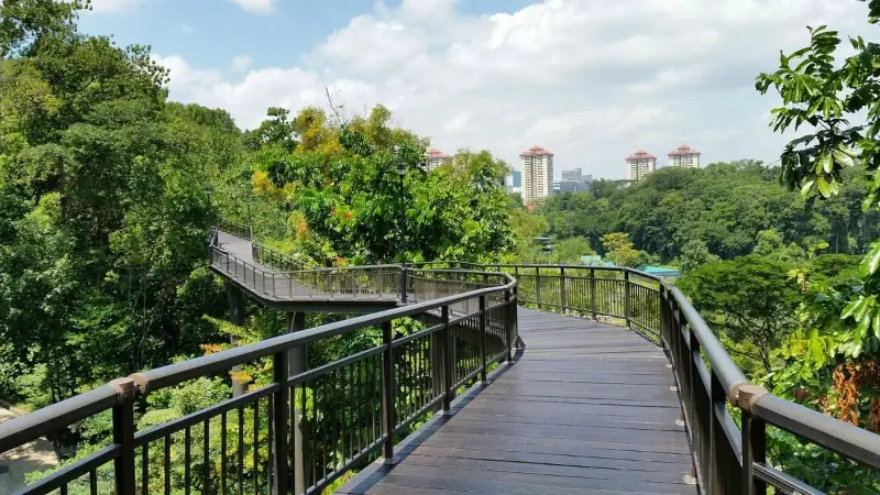 Kent Ridge Park near K2 Guesthouse, Singapore